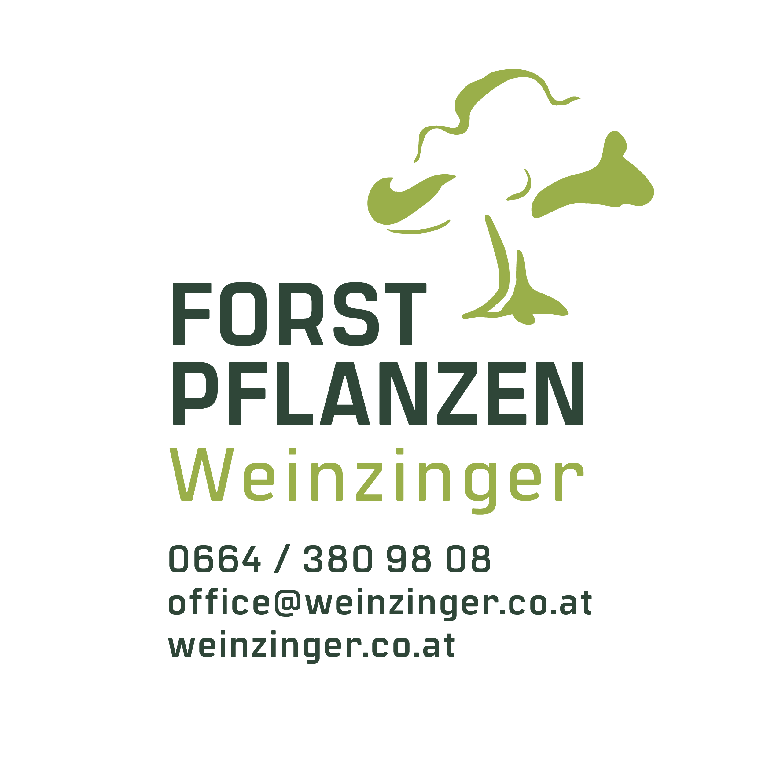 Logo Forstpflanzen Weinzinger Zusatz